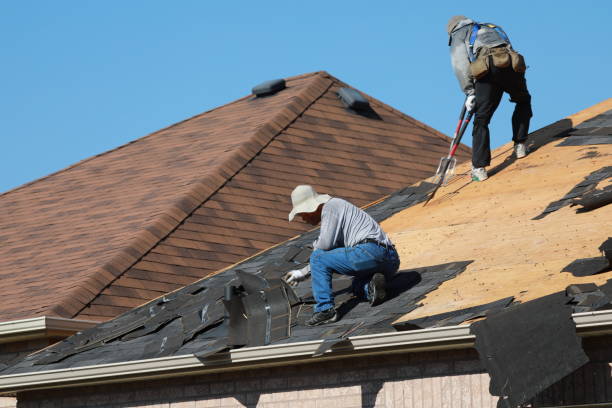 Best Roof Ventilation Installation  in Eagle Lake, MN