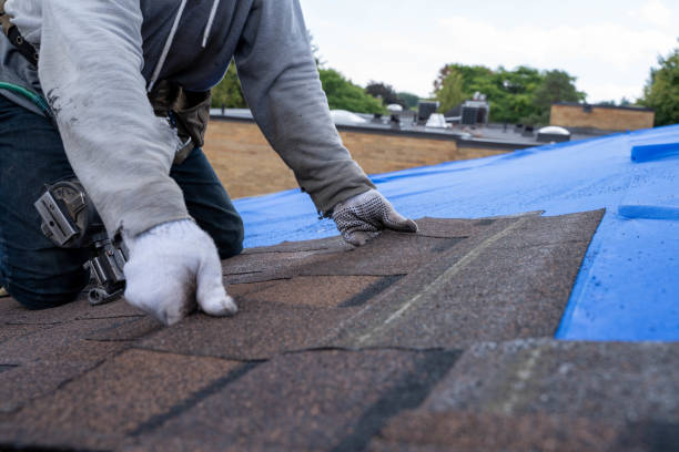 Best Roof Leak Repair  in Eagle Lake, MN